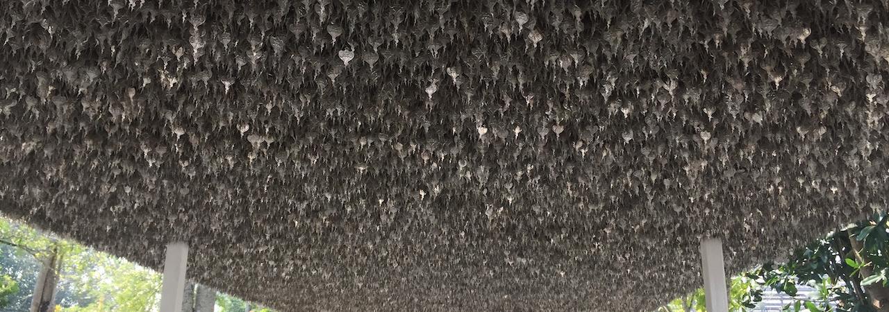 Quaerat ipsum et earum blanditiis minus.